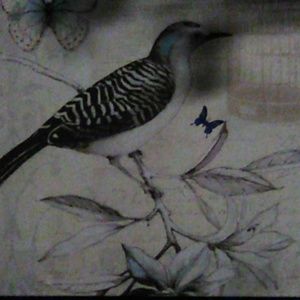 Meet your Posher, Lolla